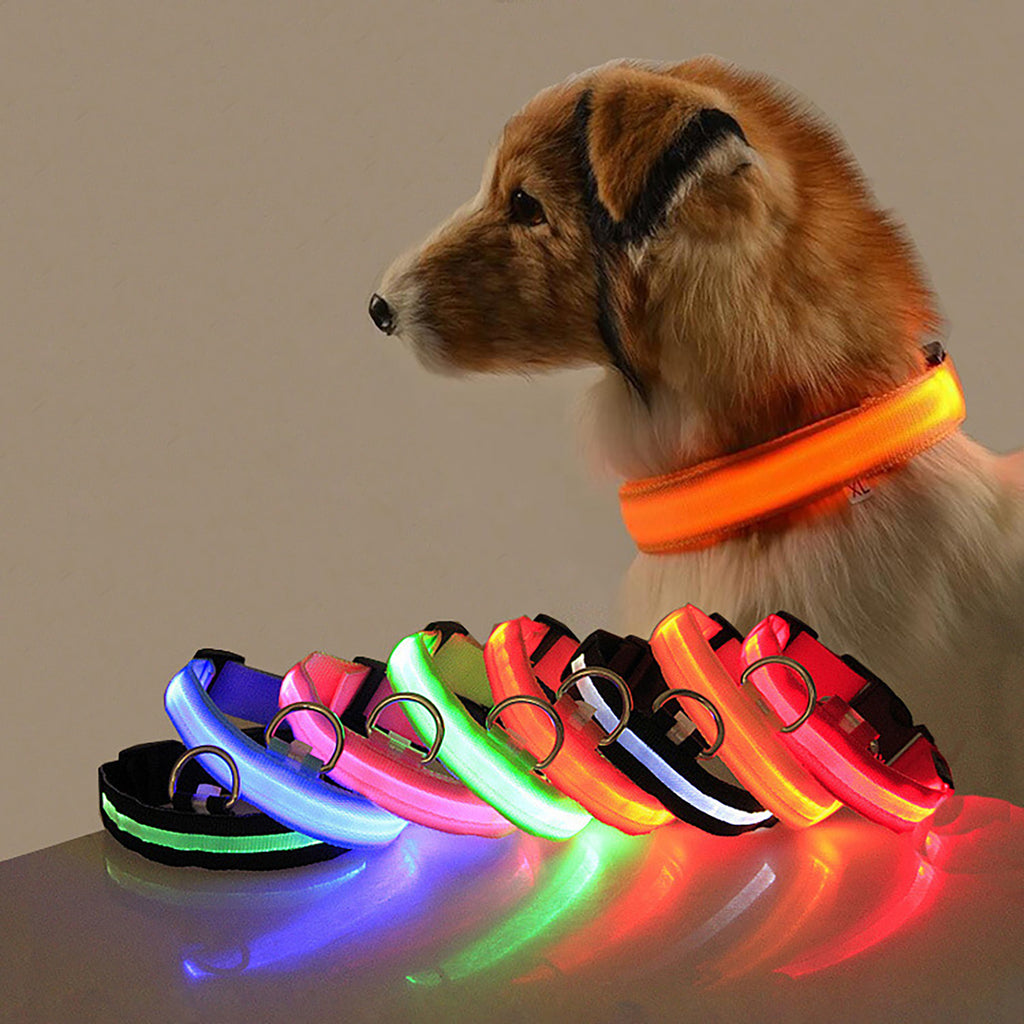 Collare Luminoso Regolabile per Cani - Collare Fluorescente a Righe per la Sicurezza Notturna e Passeggiate al Buio