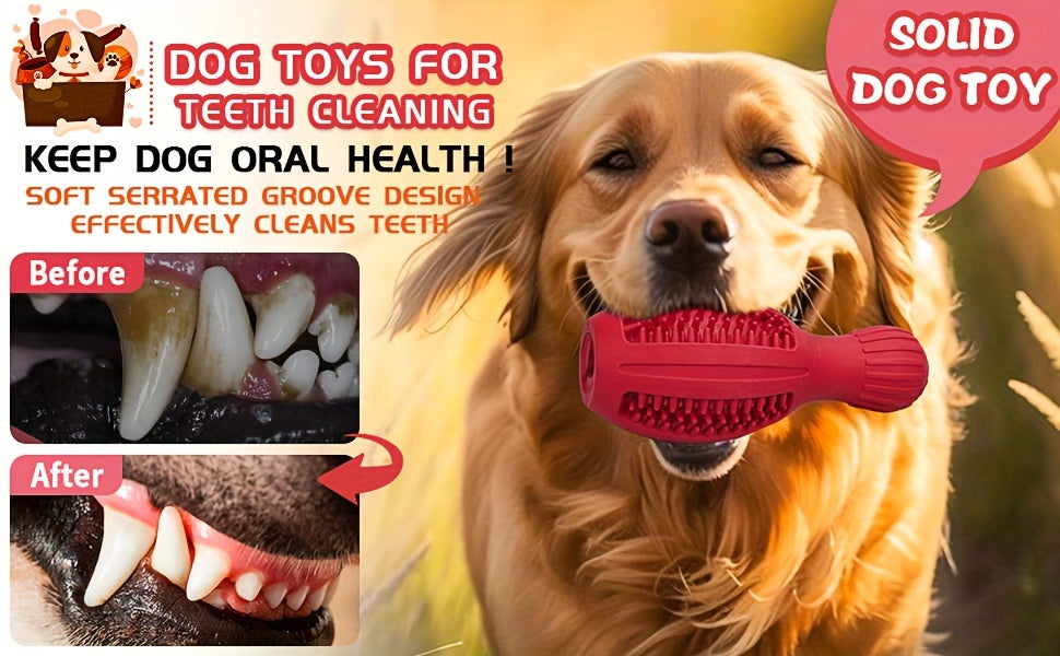 Gioco Interattivo per Cani in Gomma Naturale | Masticazione e Alimentazione Lenta