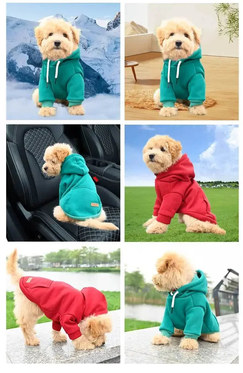 Felpa Cappuccio Cani Piccoli Medi, Gilet Outdoor Caldo Fleece Bulldog Husky Cuccioli Gatti