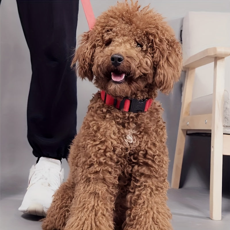 Collare Luminoso Regolabile per Cani - Collare Fluorescente a Righe per la Sicurezza Notturna e Passeggiate al Buio