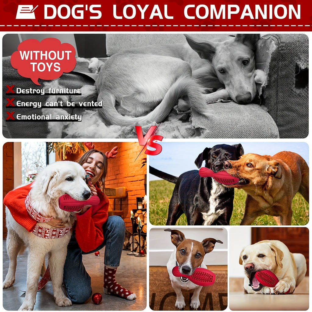 Gioco Interattivo per Cani in Gomma Naturale | Masticazione e Alimentazione Lenta