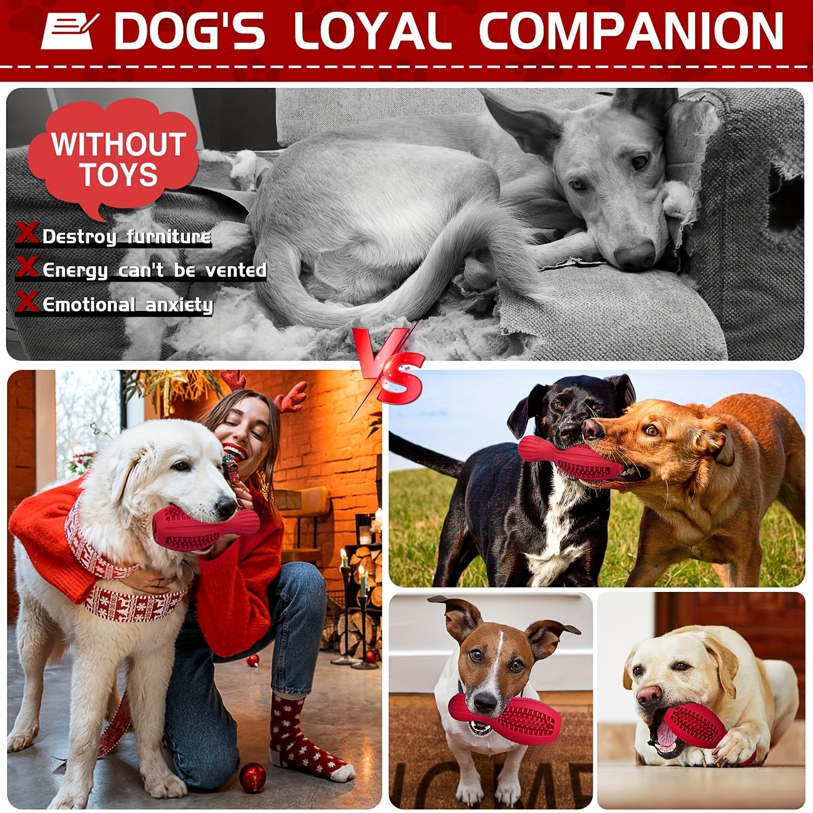 Gioco Interattivo per Cani in Gomma Naturale | Masticazione e Alimentazione Lenta