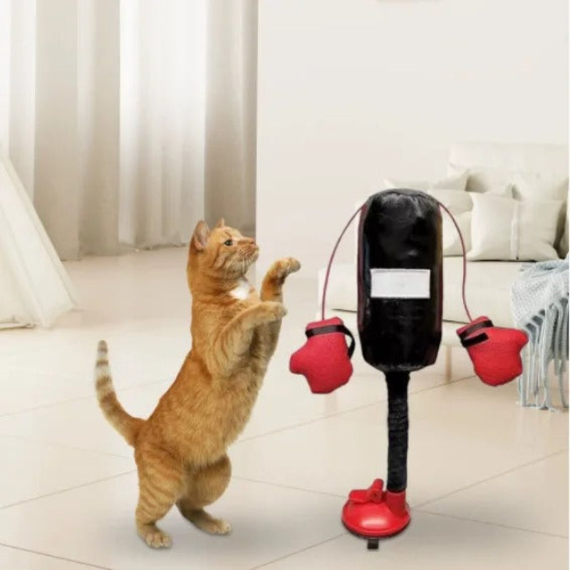 Sacco da Boxe Interattivo per Gatti